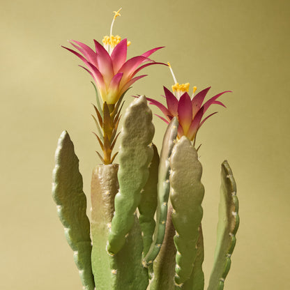 Faux Flowering Cactus - Garden Pot | 47cm