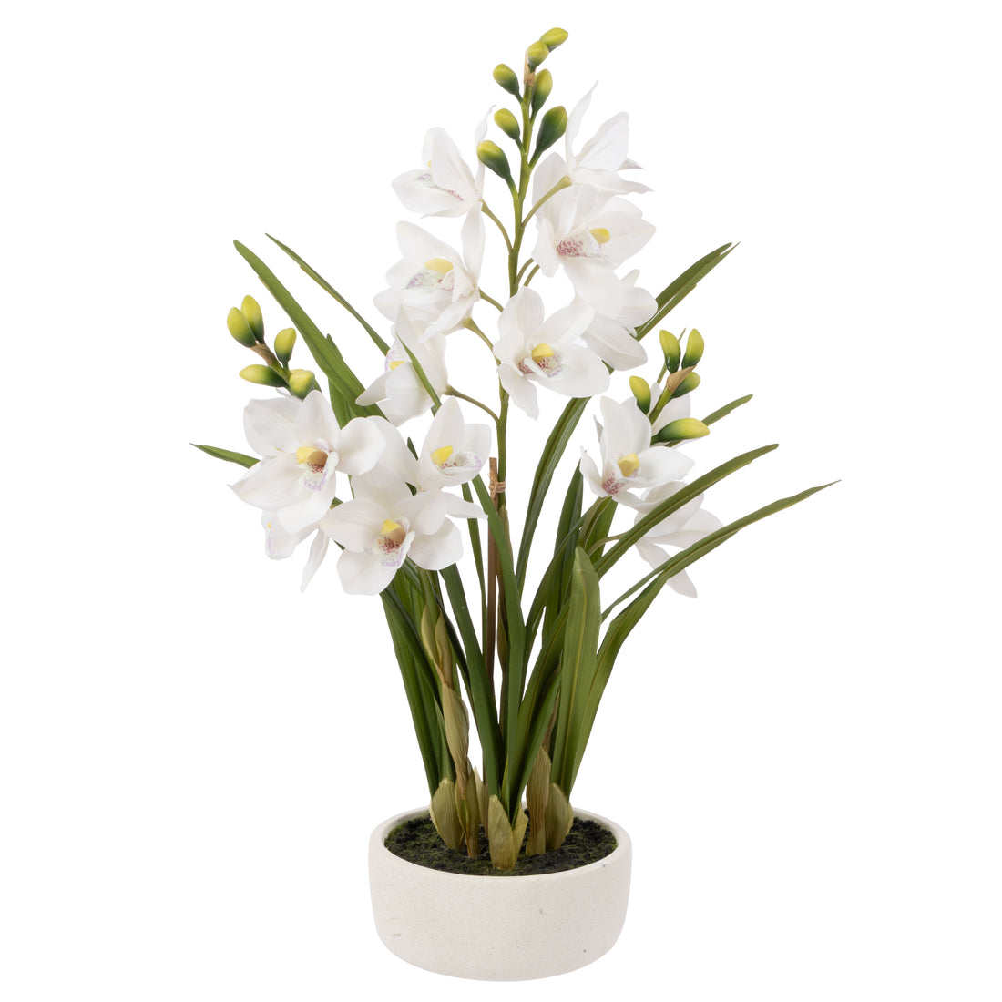 Faux Cymbidium Orchid Pot | White - 74cm