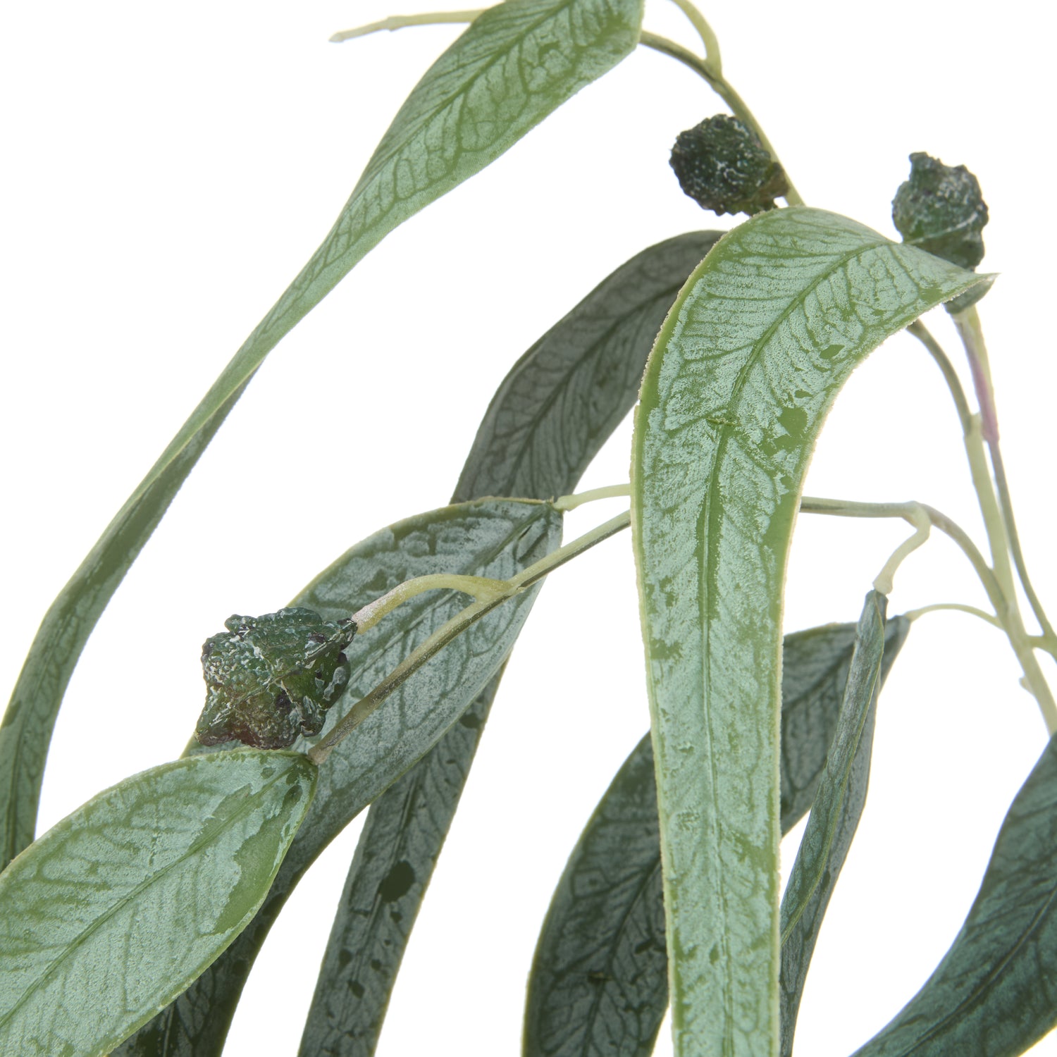 Faux Eucalyptus Gum Nut Spray | 87cm