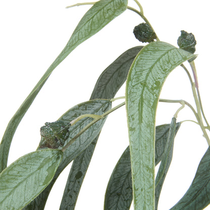Faux Eucalyptus Gum Nut Spray | 87cm