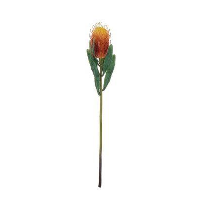 Rogue Coastal Banksia Stem Orange