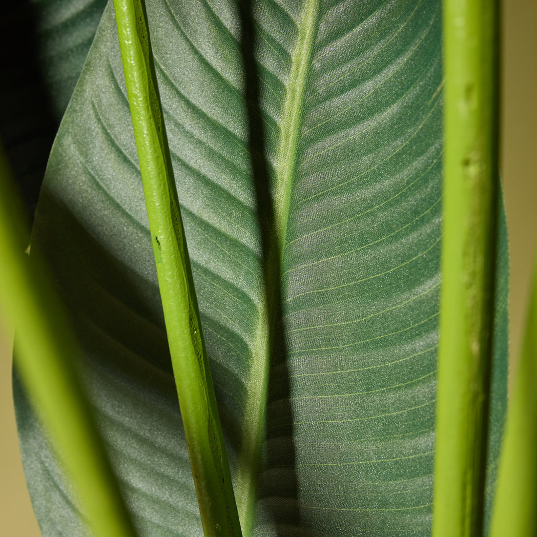 Faux Giant Bird of Paradise Plant | 244cm