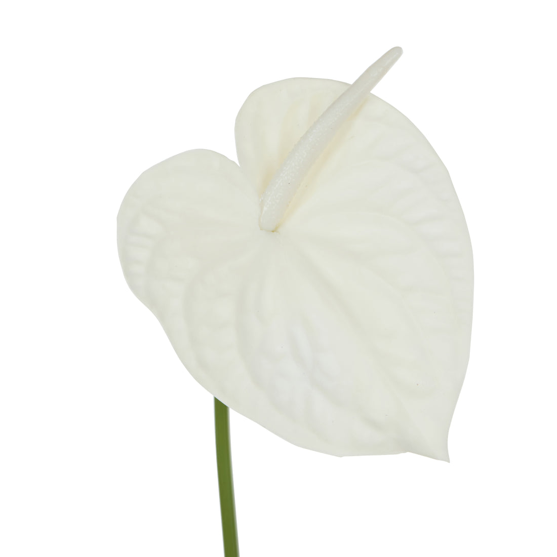 Faux Anthurium Stem | White - 69cm