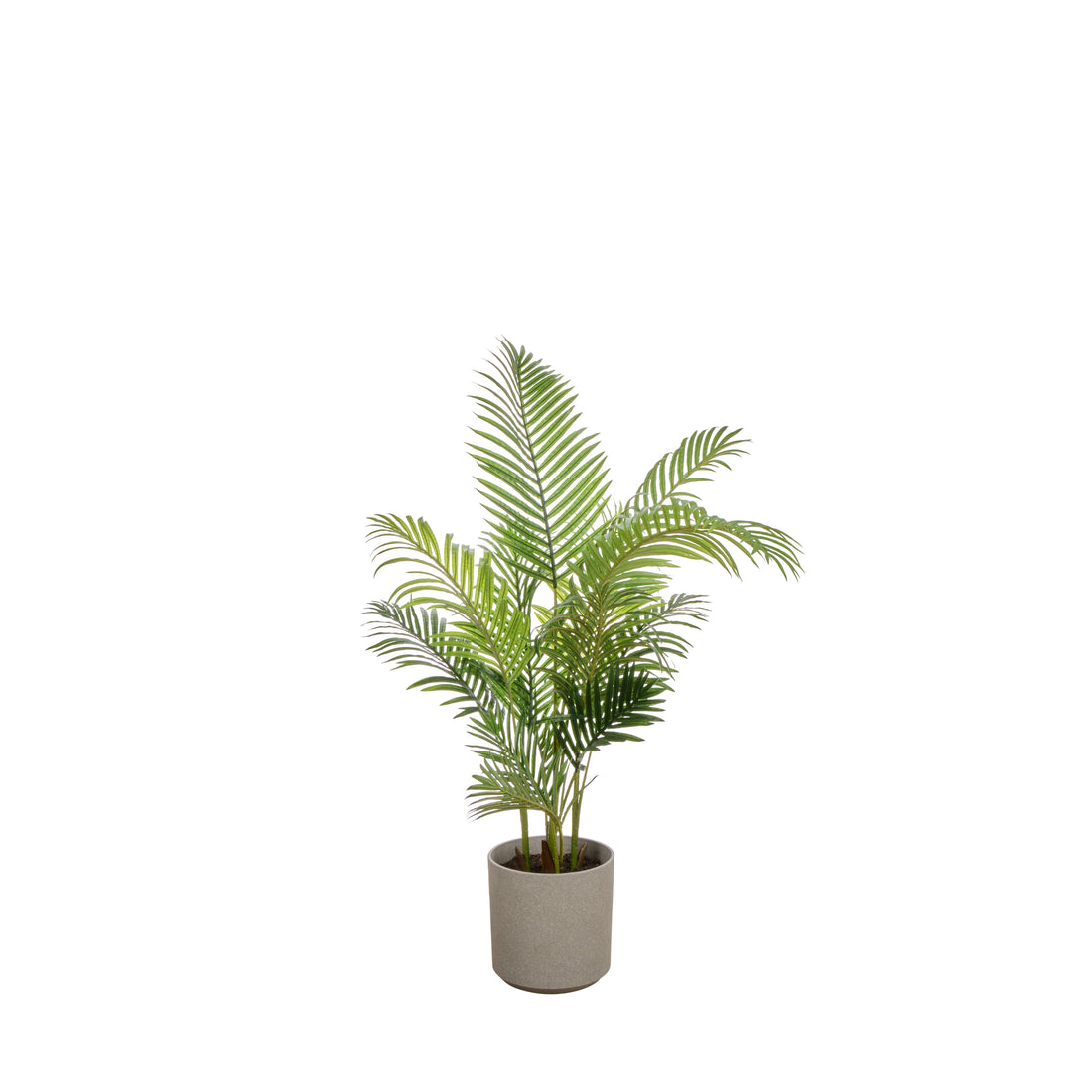 Faux Areca Palm - Cylinder Planter - UV Treated | Green  - 145cm