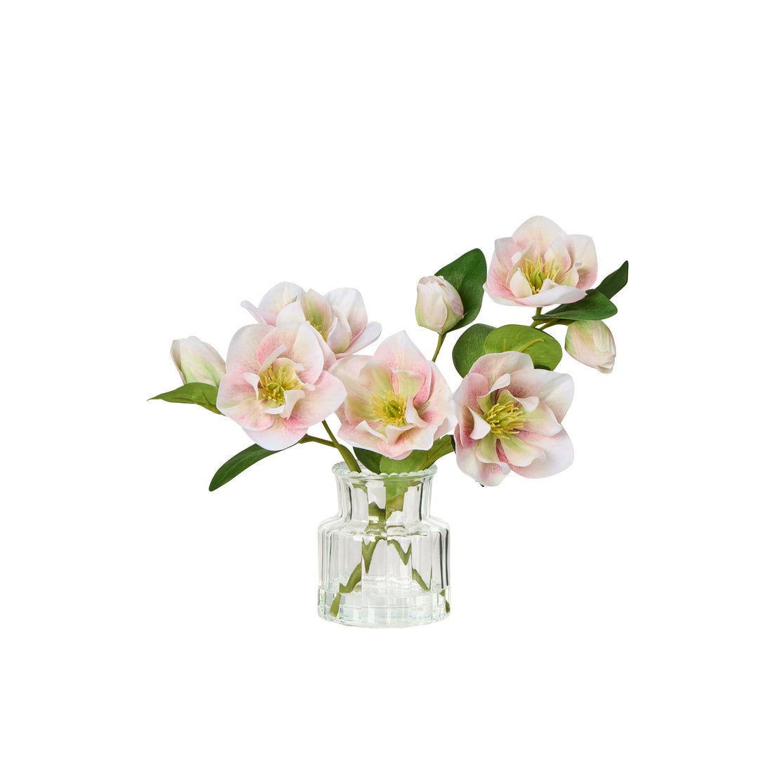 Rogue Helleborus - Glass Vase Pink