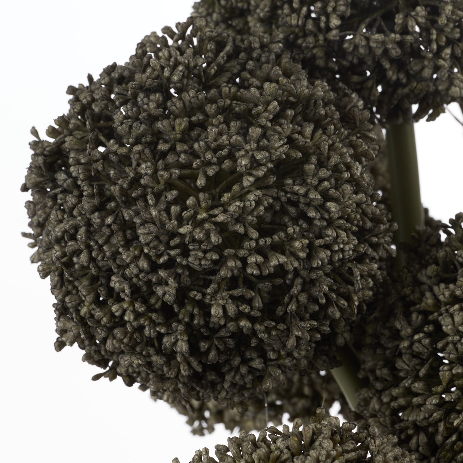 Faux Allium Spray Arrangement - Maliah Pot Black | Green - 65cm