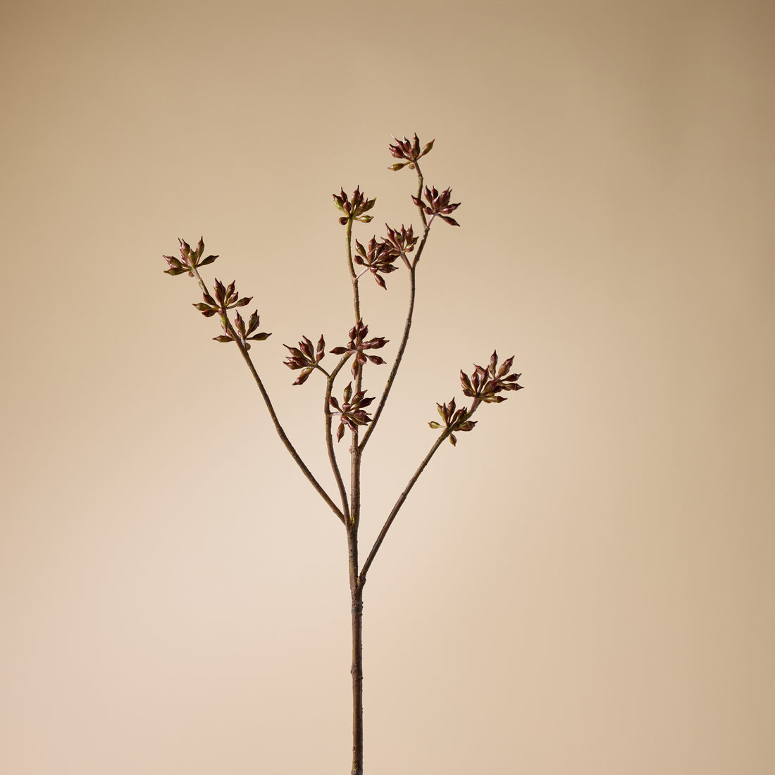 Faux Eucalyptus Seeding Spray | Burgundy - 84cm