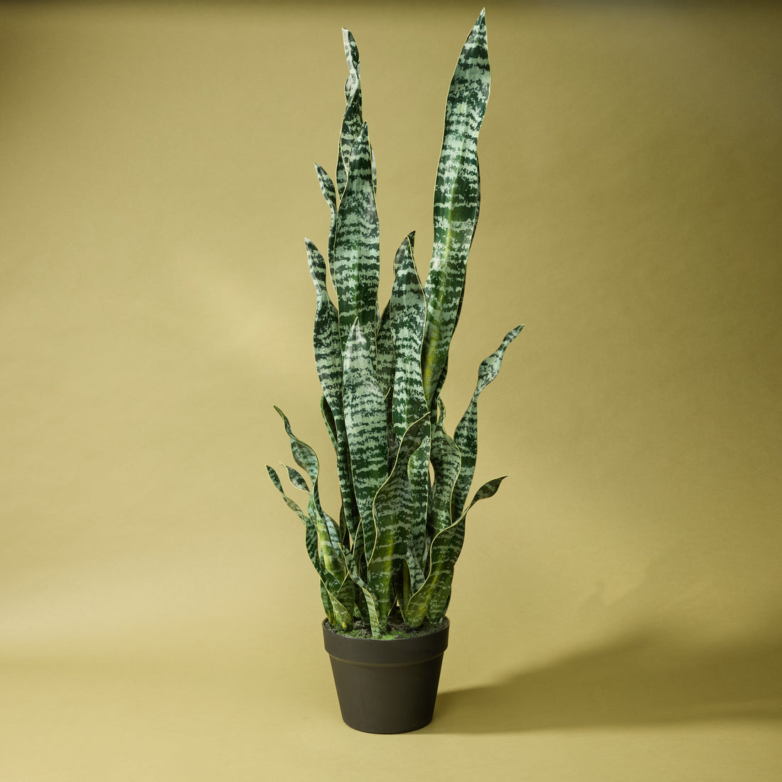 Faux Sansevieria Plant - Garden Pot | 91cm