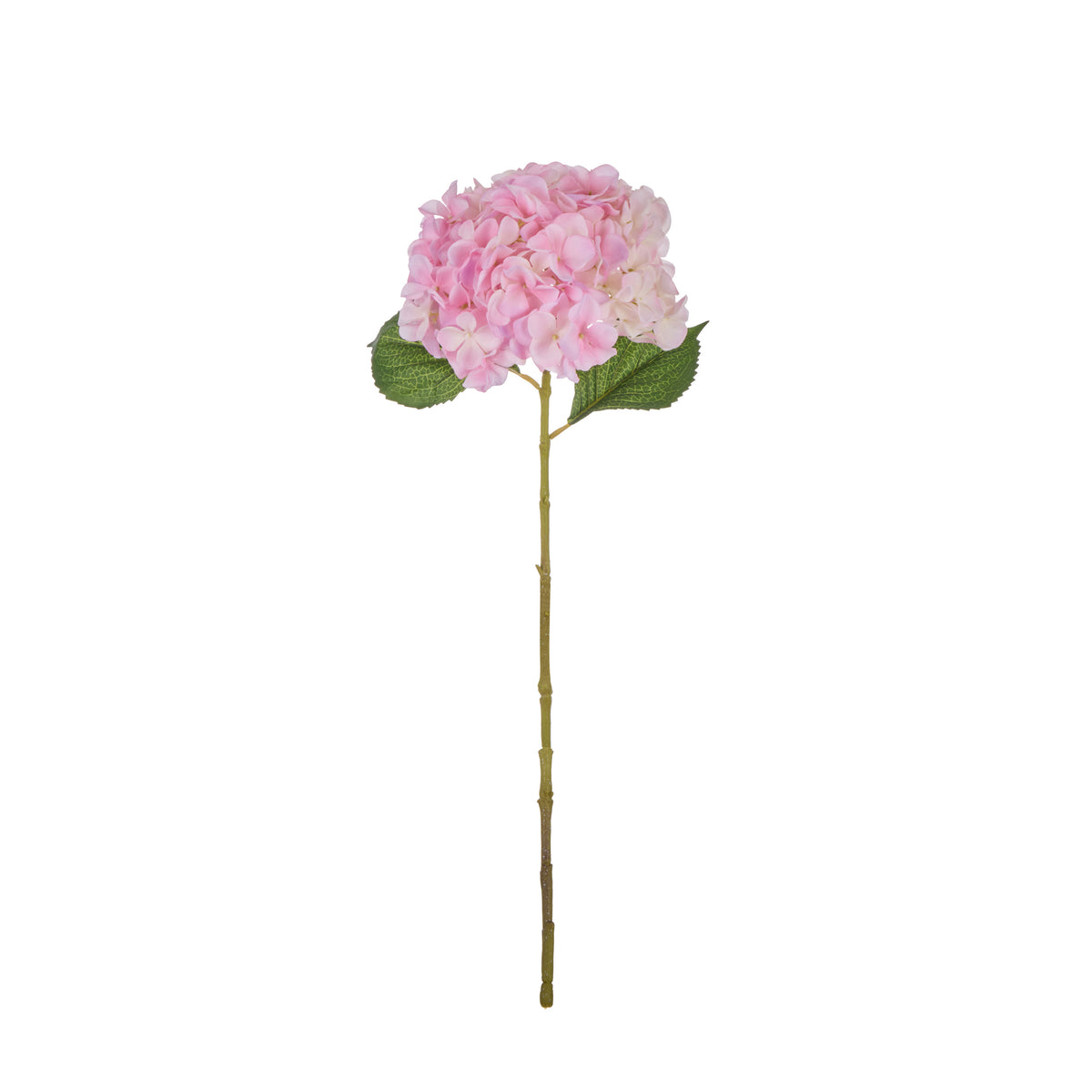 Rogue Hydrangea Stem Pink
