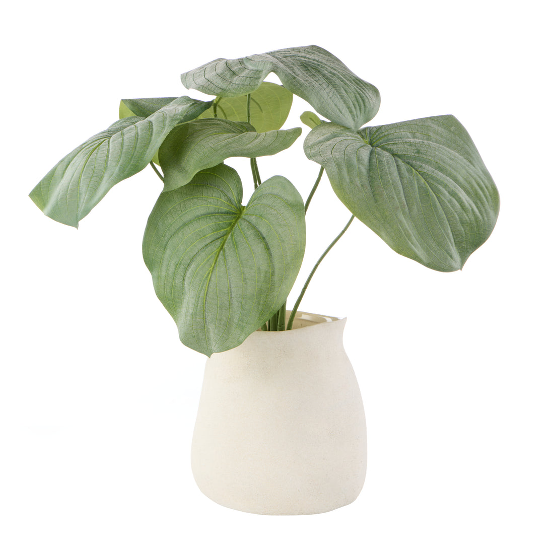 Faux Hosta Plant - Maliah Pot | Cream - 57cm