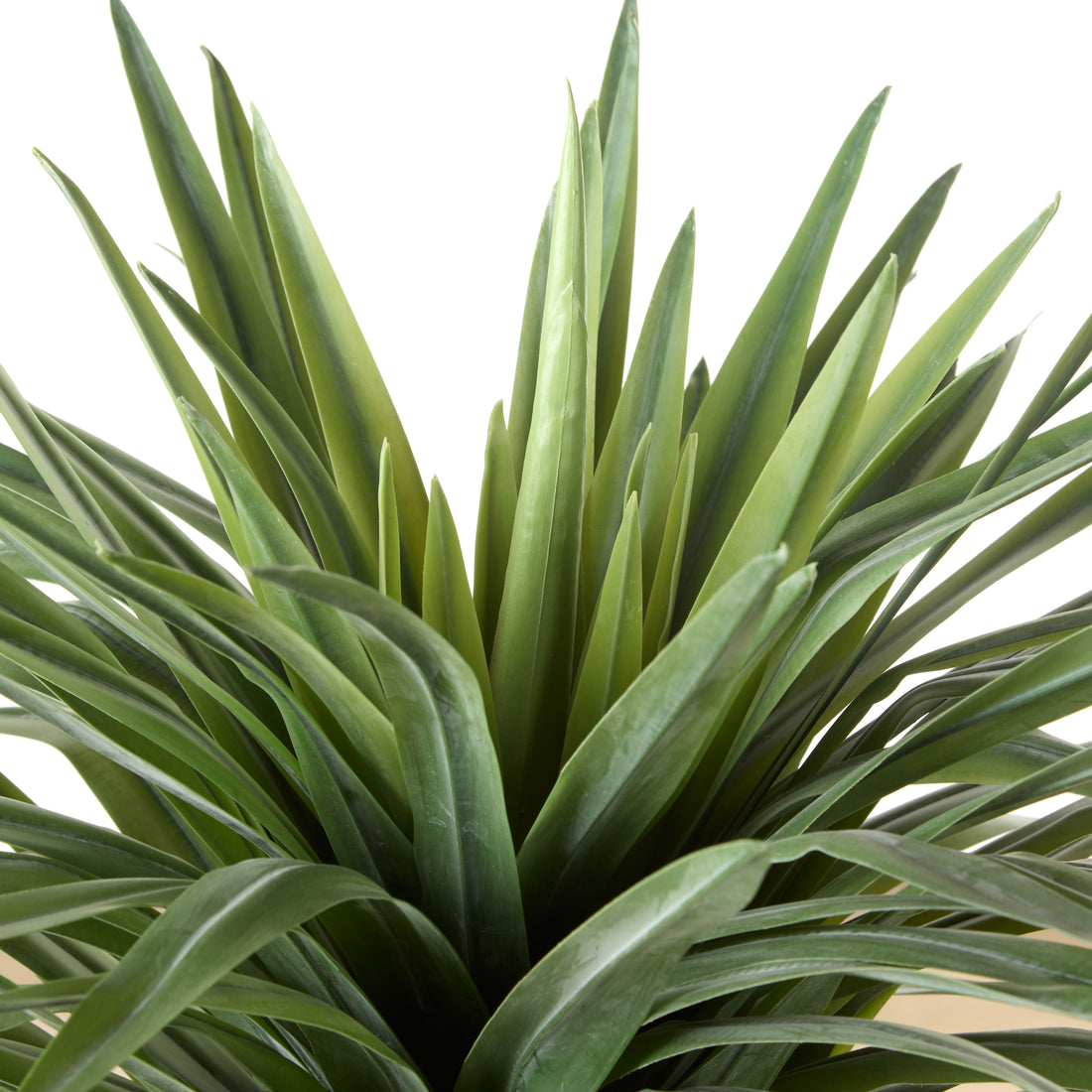 Rogue Sisal Plant UV Green