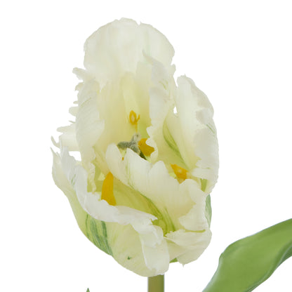 Faux Parrot Tulip Stem | White - 48cm