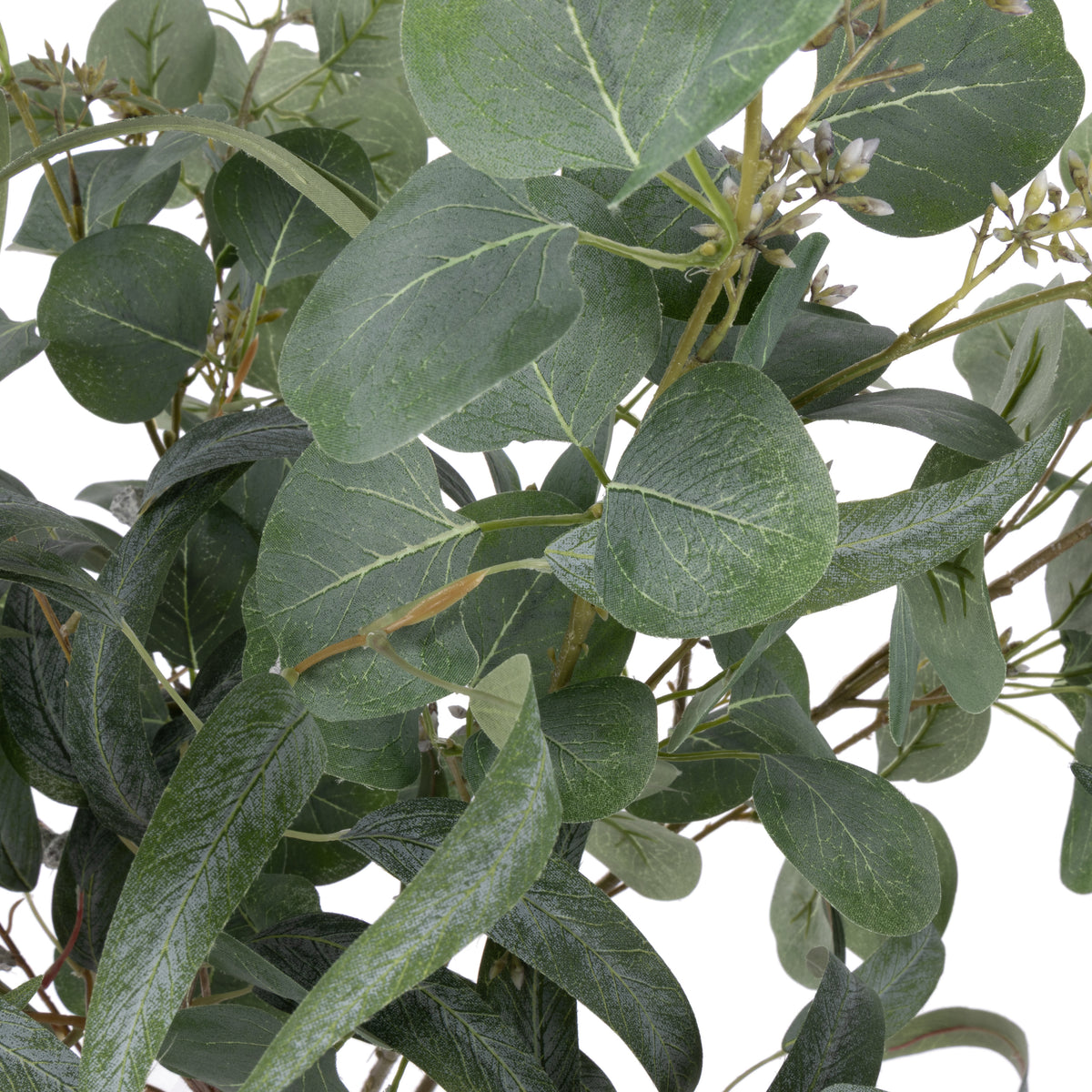 Rogue Eucalyptus Mix - Cindy Vase Green