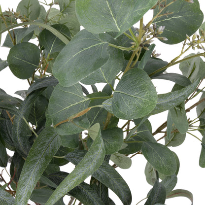Rogue Eucalyptus Mix - Cindy Vase Green