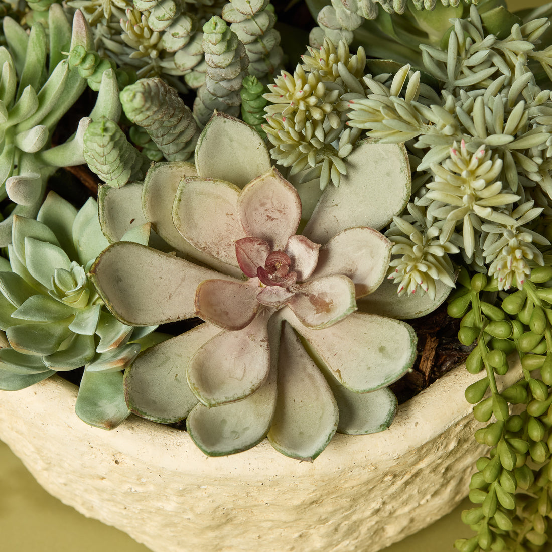 Faux Succulent Garden - Textured Cement Pot | 29cm
