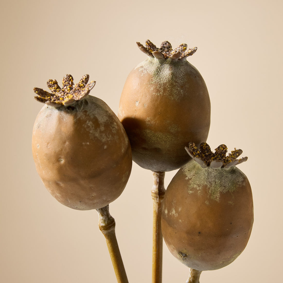 Faux Poppy Seed Bunch | Brown - 51cm