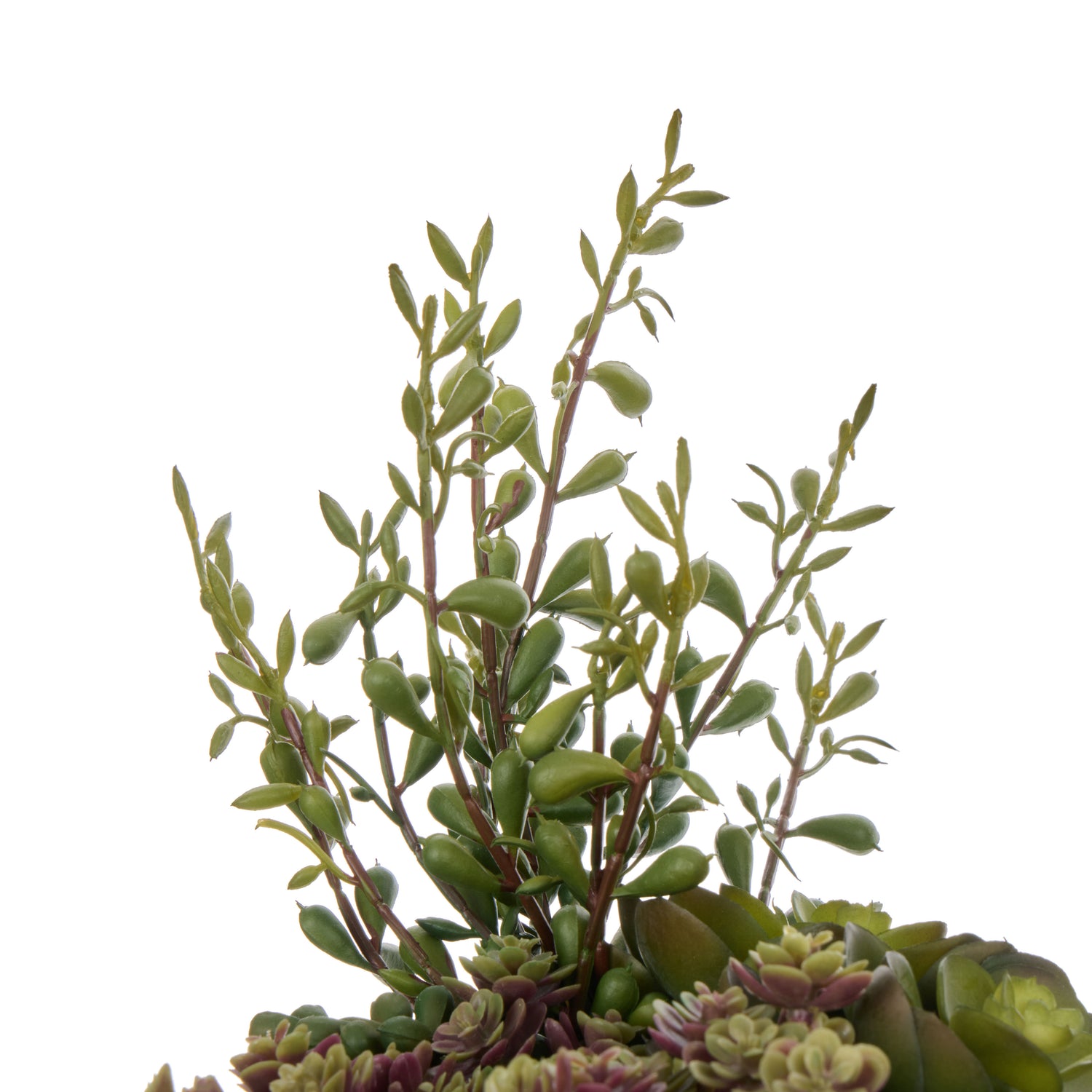 Faux Succulent Garden - Reims Vase | Green -  32cm