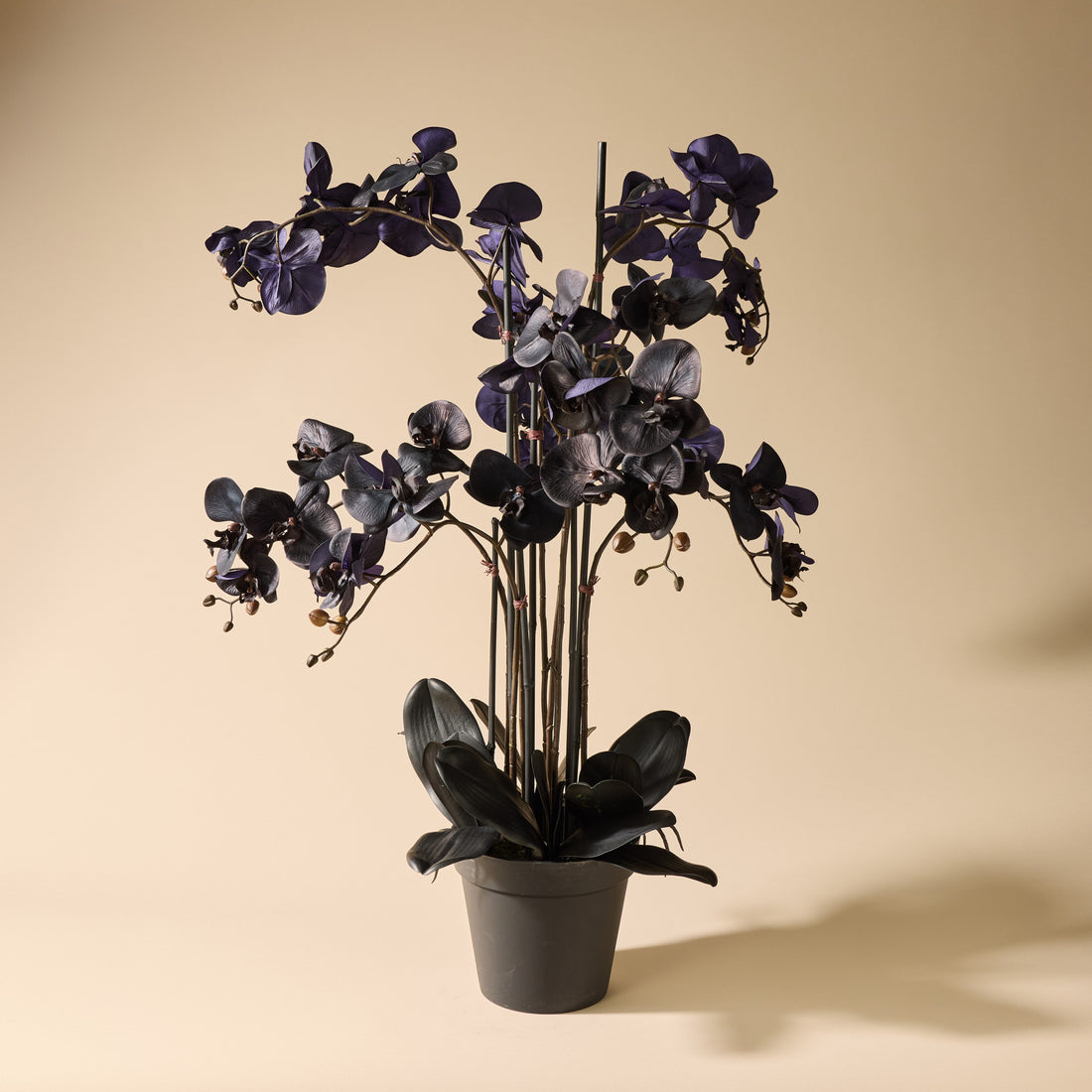 Faux Phalaenopsis Orchid Arrangement - Garden Pot | Black - 105cm