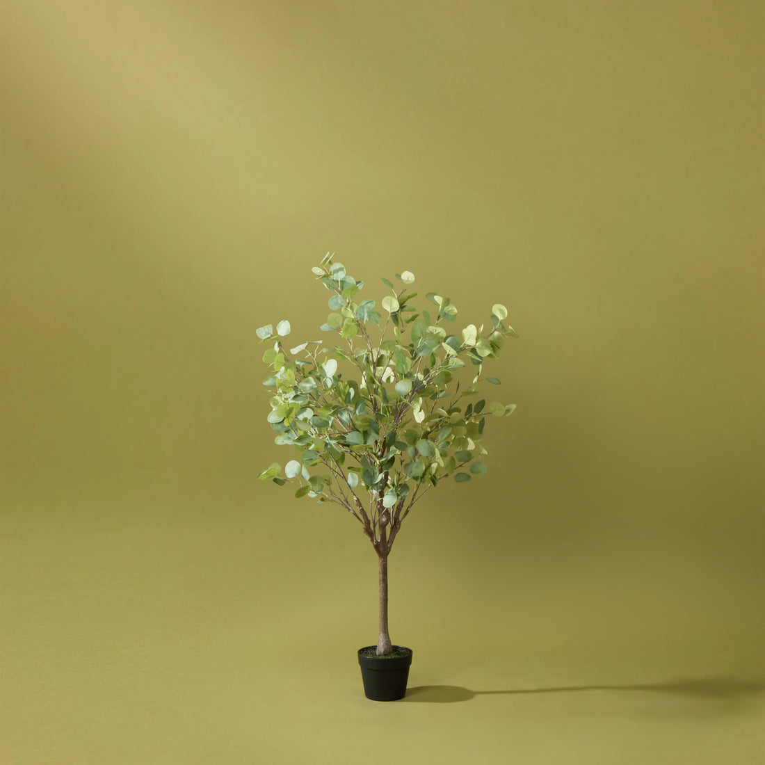 Faux Eucalyptus Tree Garden Pot | 130cm