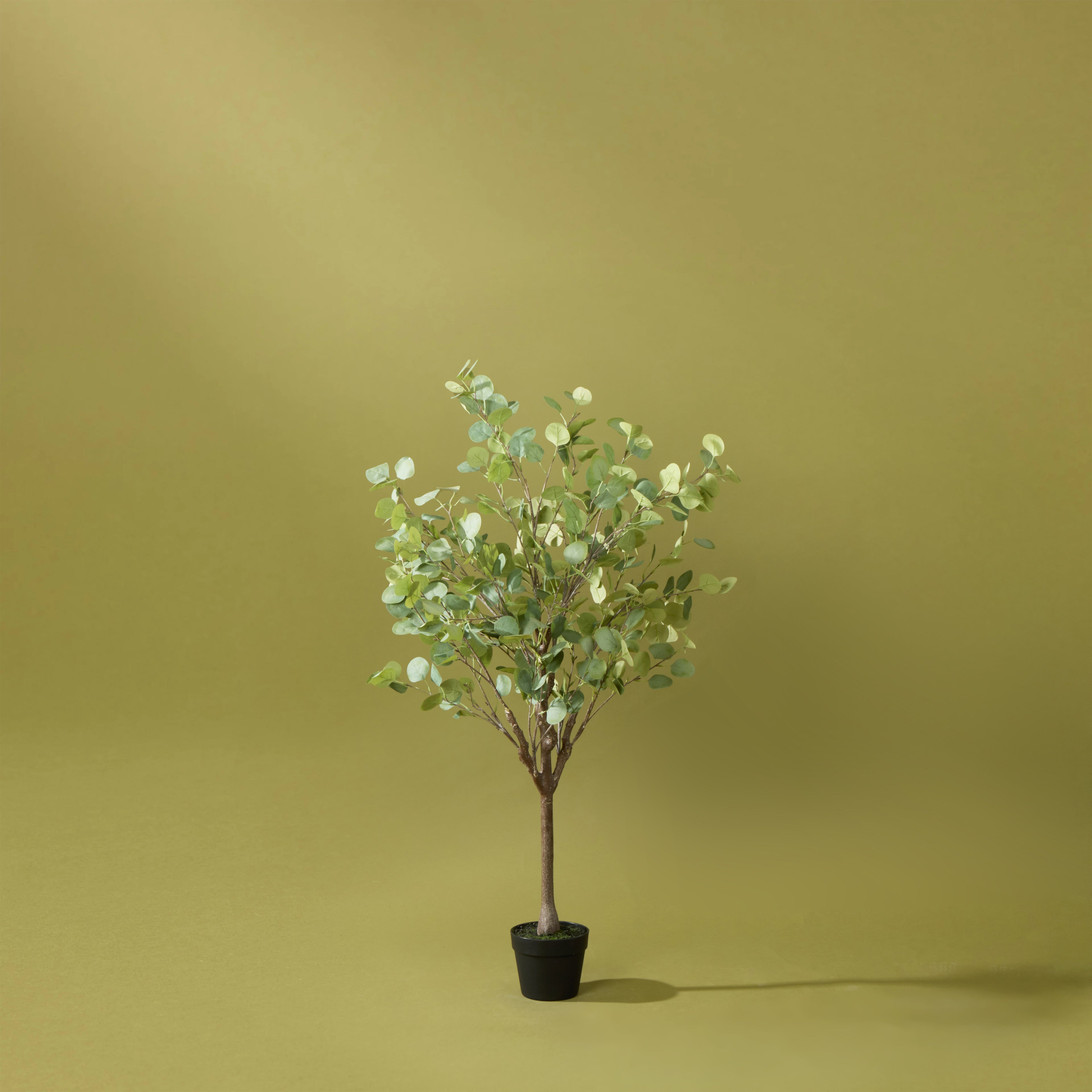 Faux Eucalyptus Tree Garden Pot | 130cm