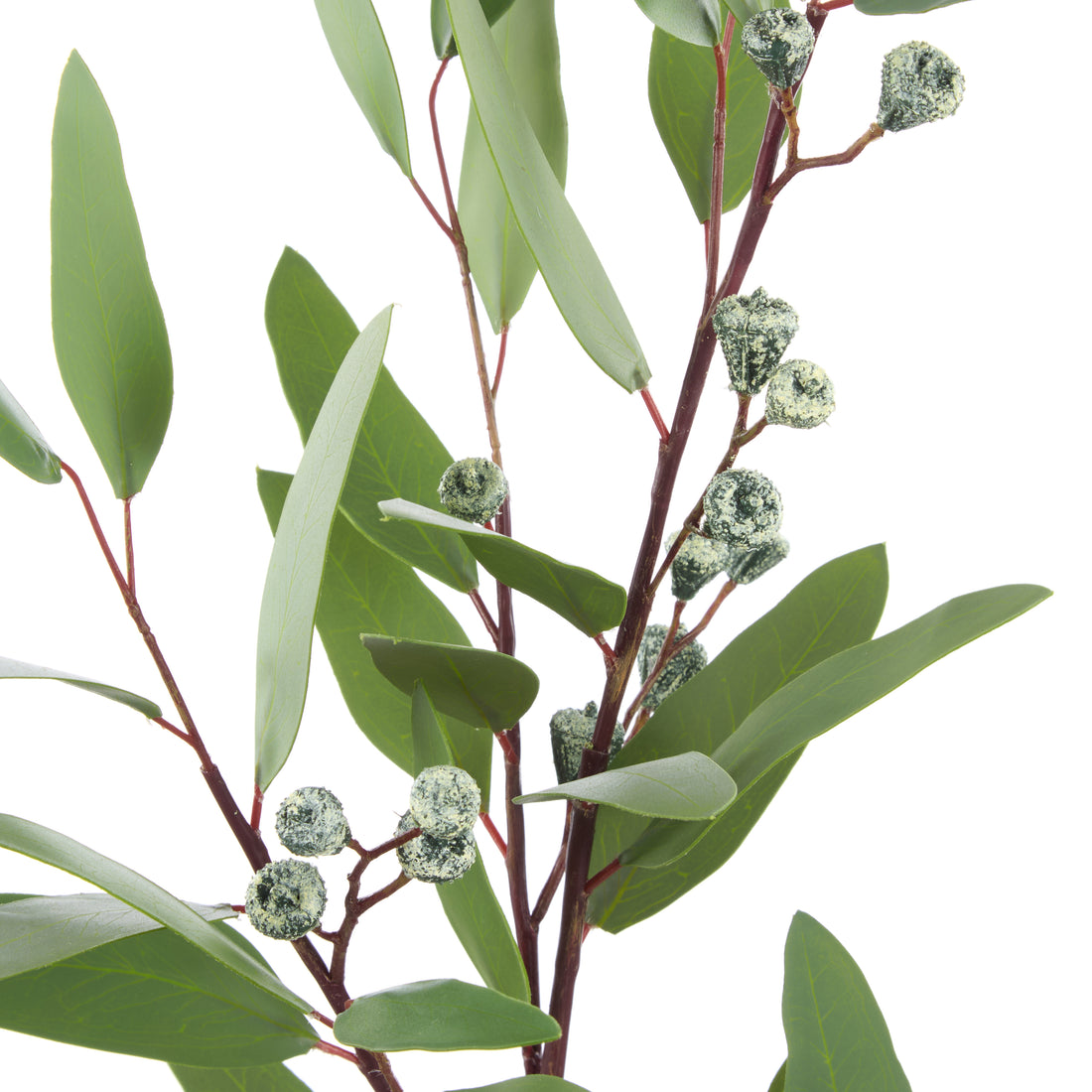 Rogue Eucalyptus Gumnut Spray Green