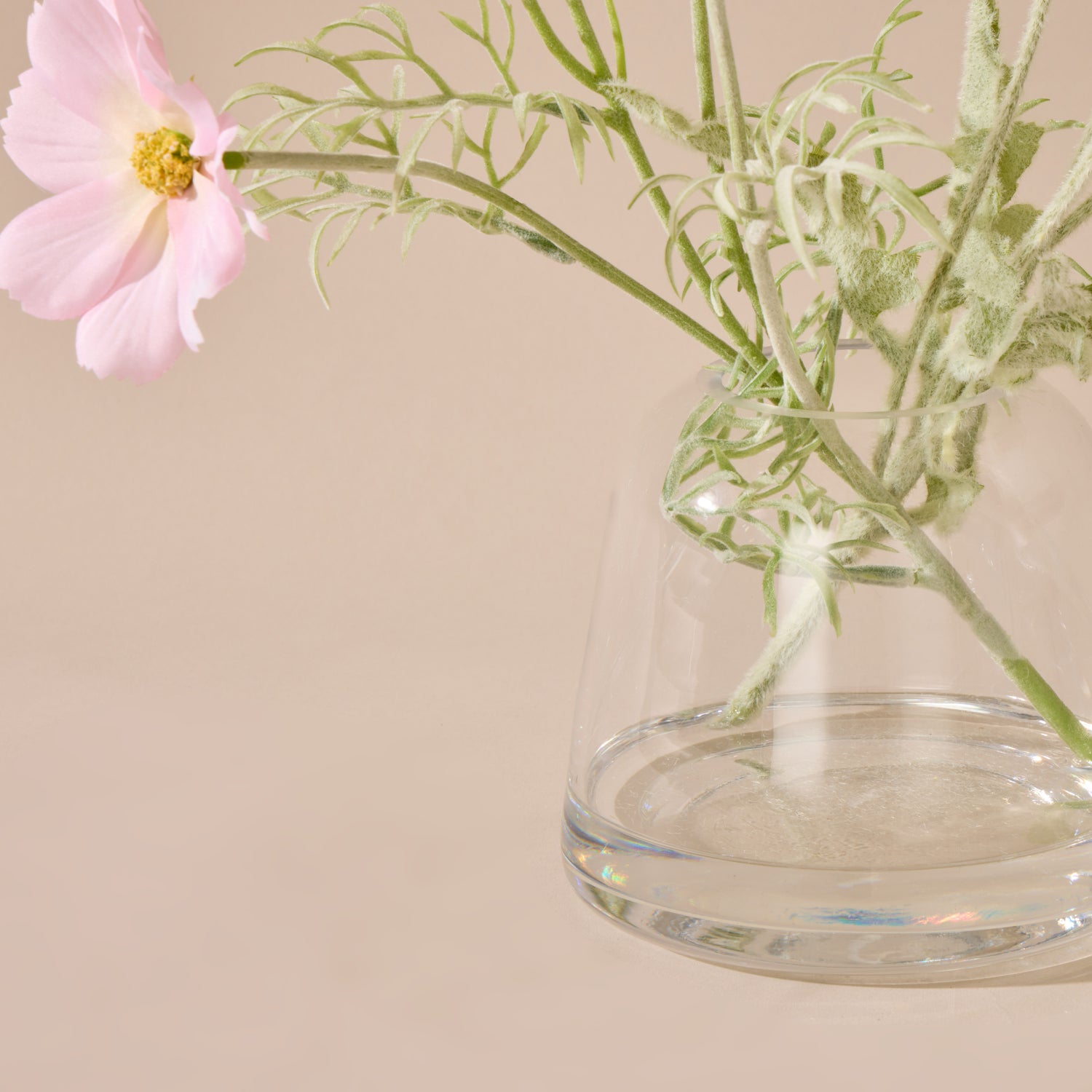 Faux Poppy Cosmos Mix - Giselle Vase | Cream &amp; Light Pink - 37cm