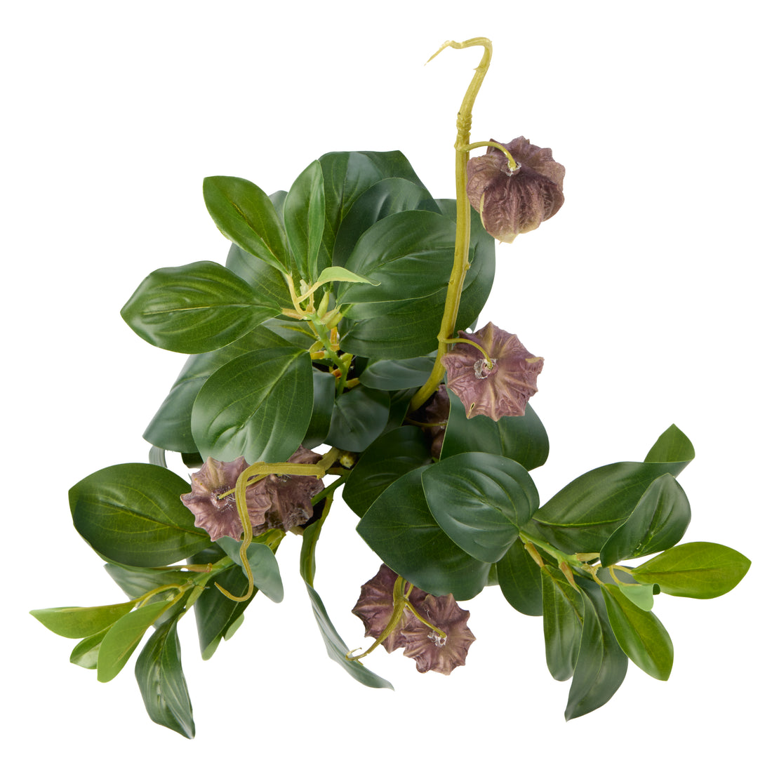 Faux Chinese Lantern Lush Leaf - Maliah Pot Wide | Green - 55cm