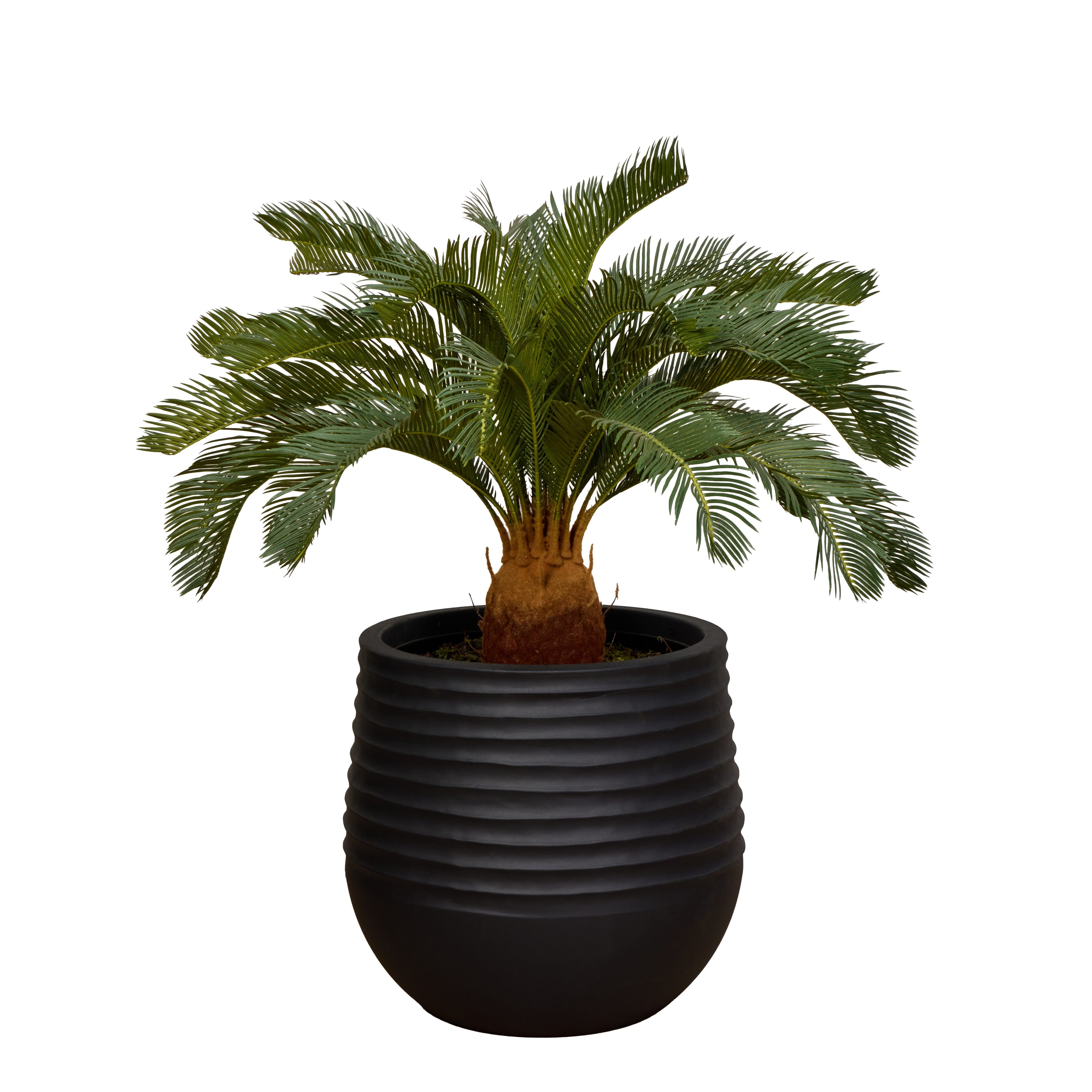 Faux Cycas Plant - Ryker Planter | Green - 116cm