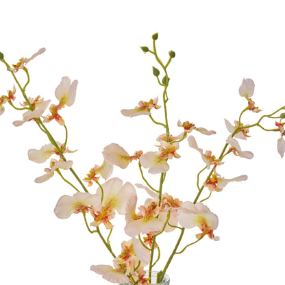 Faux Dancing Orchid - Specimen Bottle | Cream -  36cm