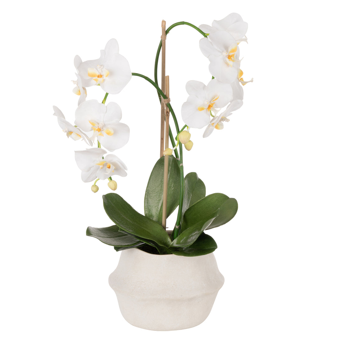 Faux Phalaenopsis Orchid Plant - Maliah Pot | White - 61cm