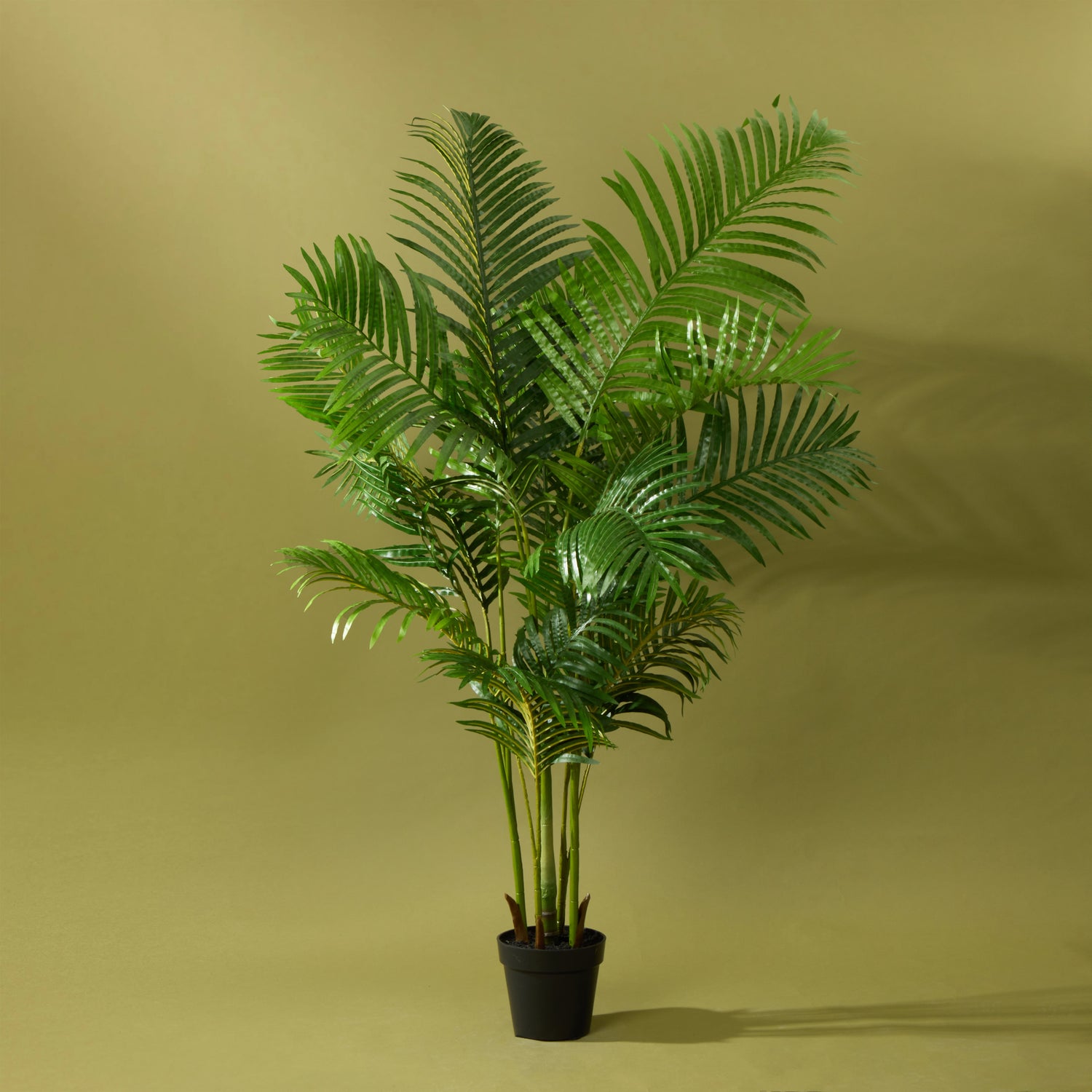 areca palm brisbane Artificial Areca Palm UV Treated | Green - 180cm