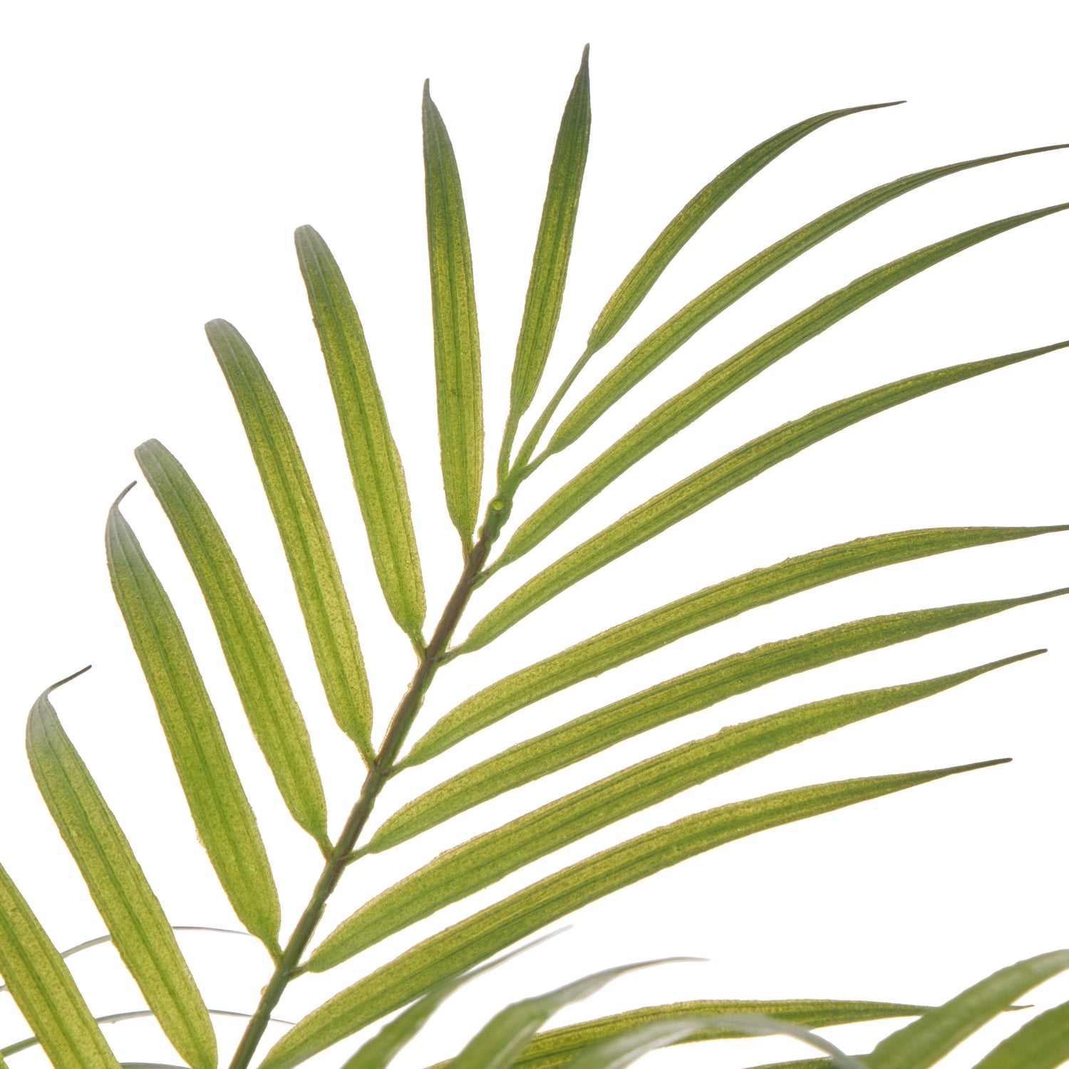 Faux Palm Tree  - Antibes Pot | Green -  125cm