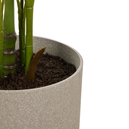 Faux Areca Palm - Cylinder Planter - UV Treated | Green - 189cm