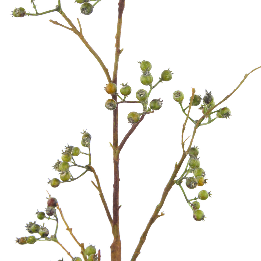 Faux Green Berries Spray | Green - 64cm