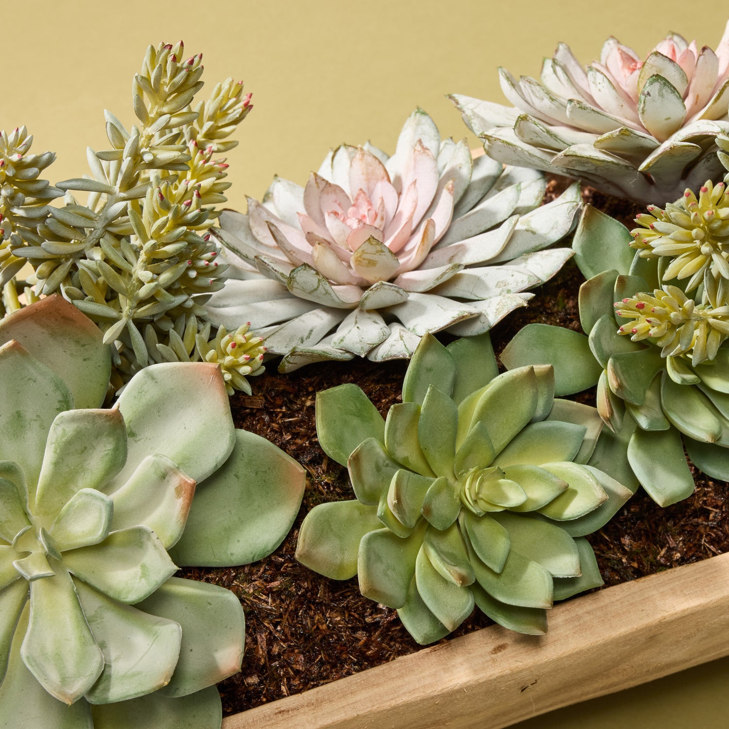 succulent tray garden Artificial Echeveria Succulent Garden Arrangement - Dansk Tray