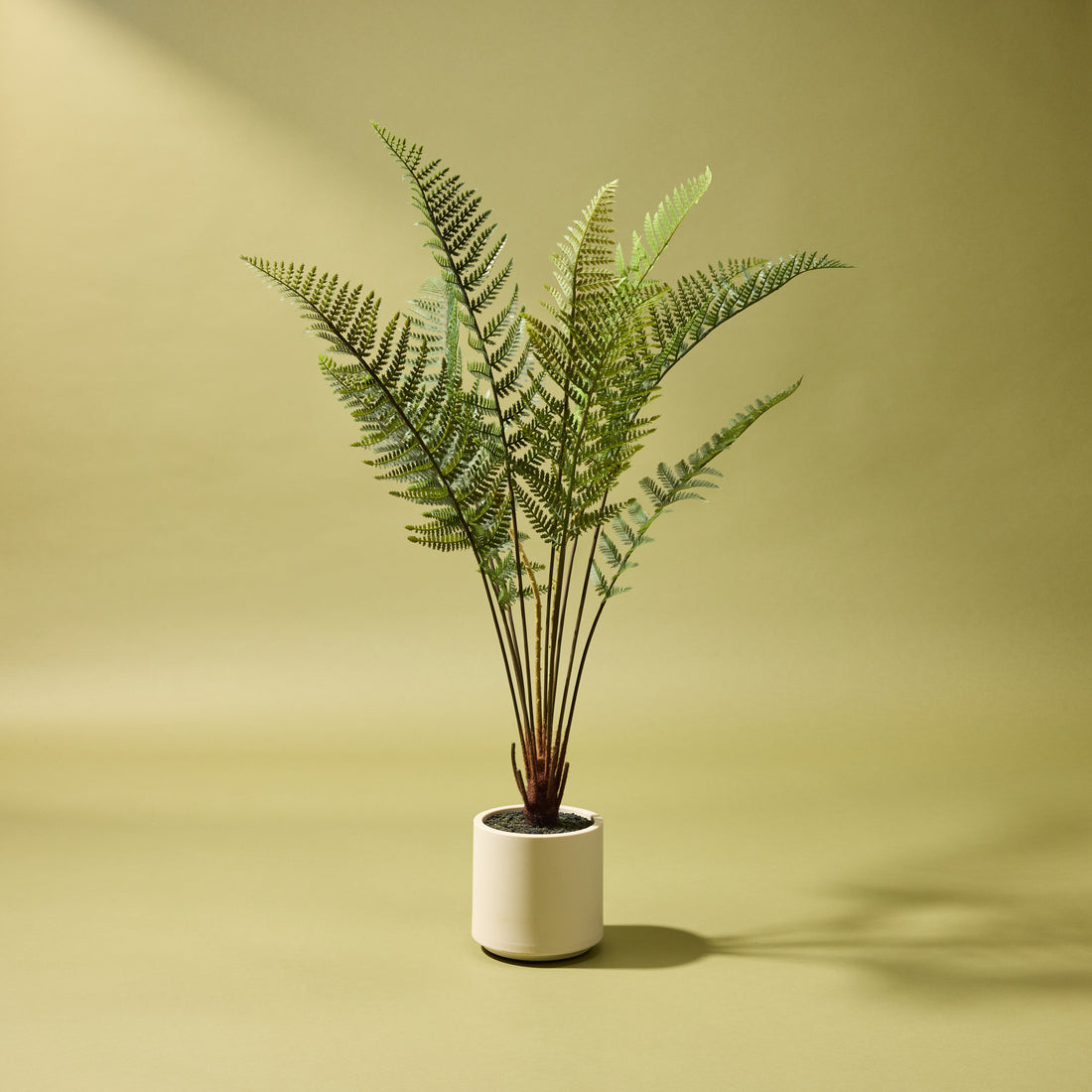 Faux Potted Fern | 102cm