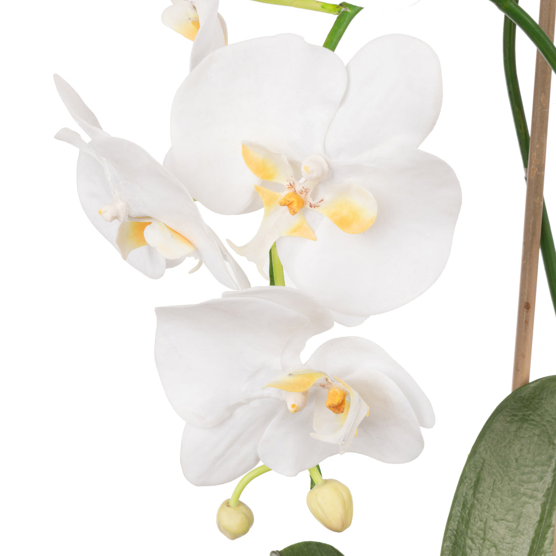 Faux Phalaenopsis Orchid Plant - Maliah Pot | White - 61cm