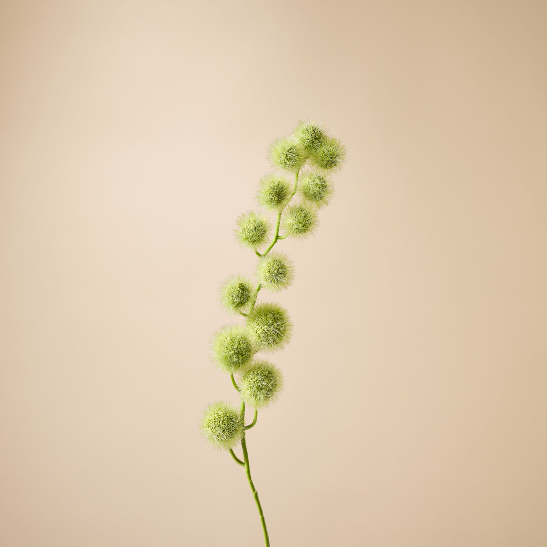 Faux Mini Milk Weed Stem | Cream - 80cm