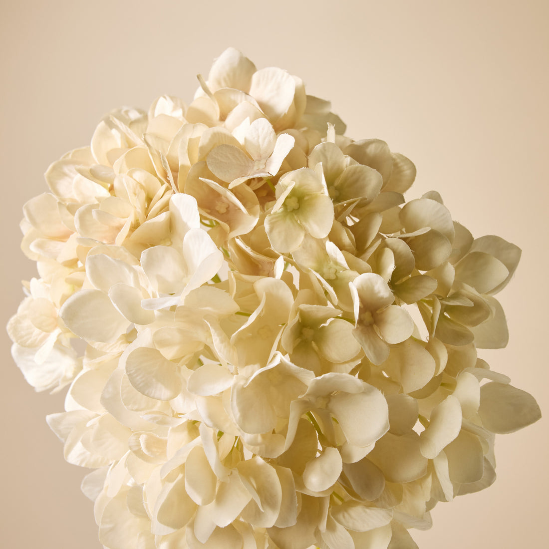 Faux Grand Hydrangea Stem | Cream - 68cm