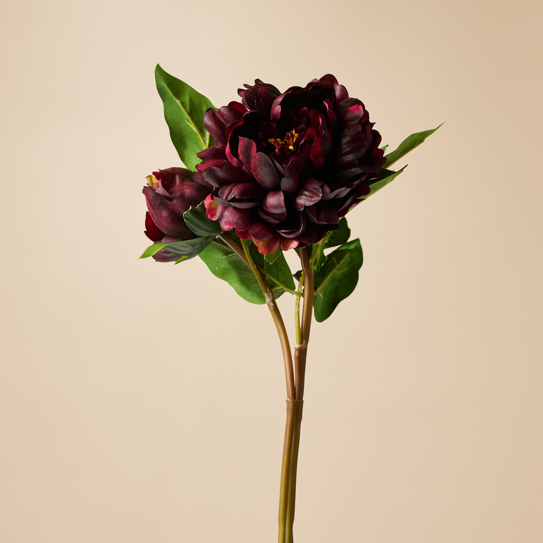 Faux Peony Bud Stem | Brown - 56cm