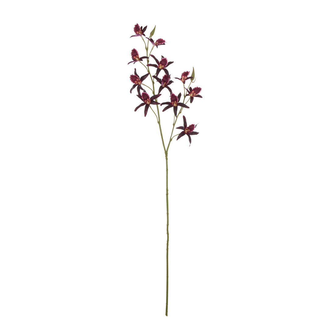 Faux Dendrobium Spray | Burgundy - 92cm