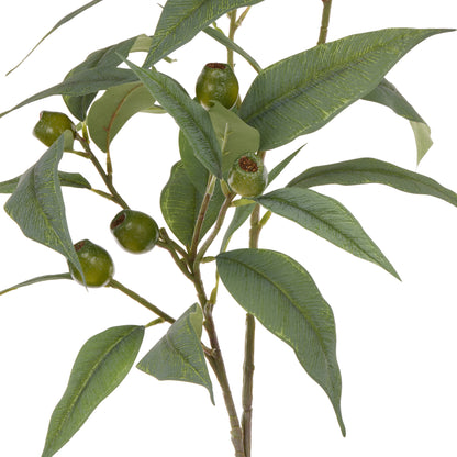 Faux Eucalyptus Gumnut Spray | 79cm