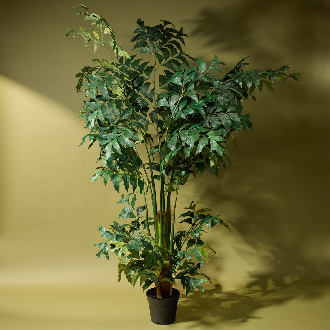 Faux Caryota Palm Tree - Garden Pot | 220cm