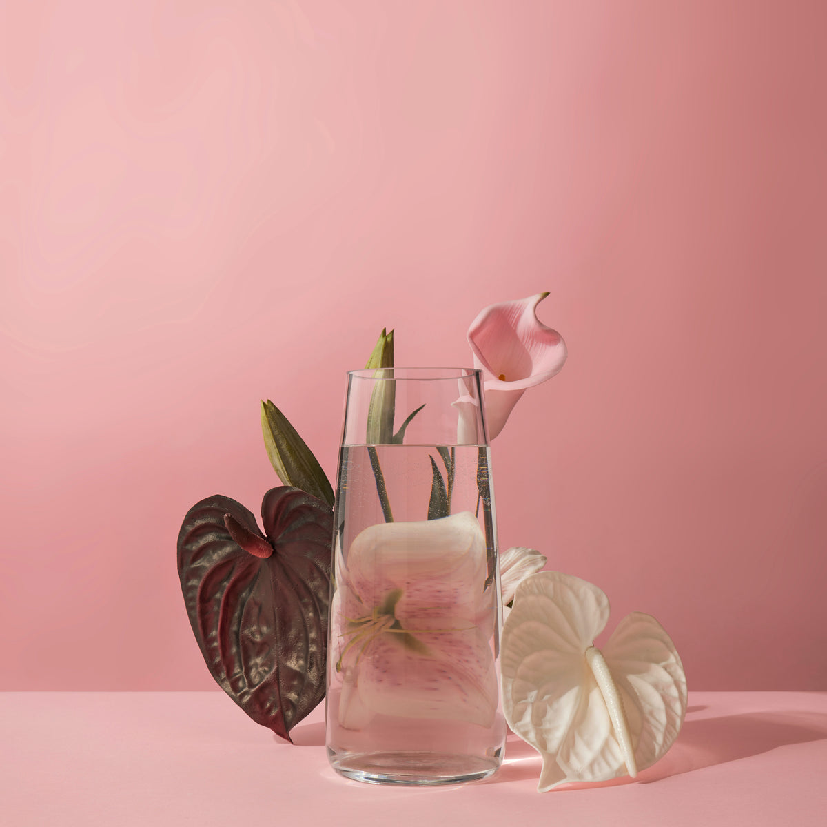 Rogue Anthurium Stem White