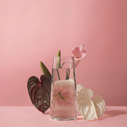 Rogue Anthurium Stem White