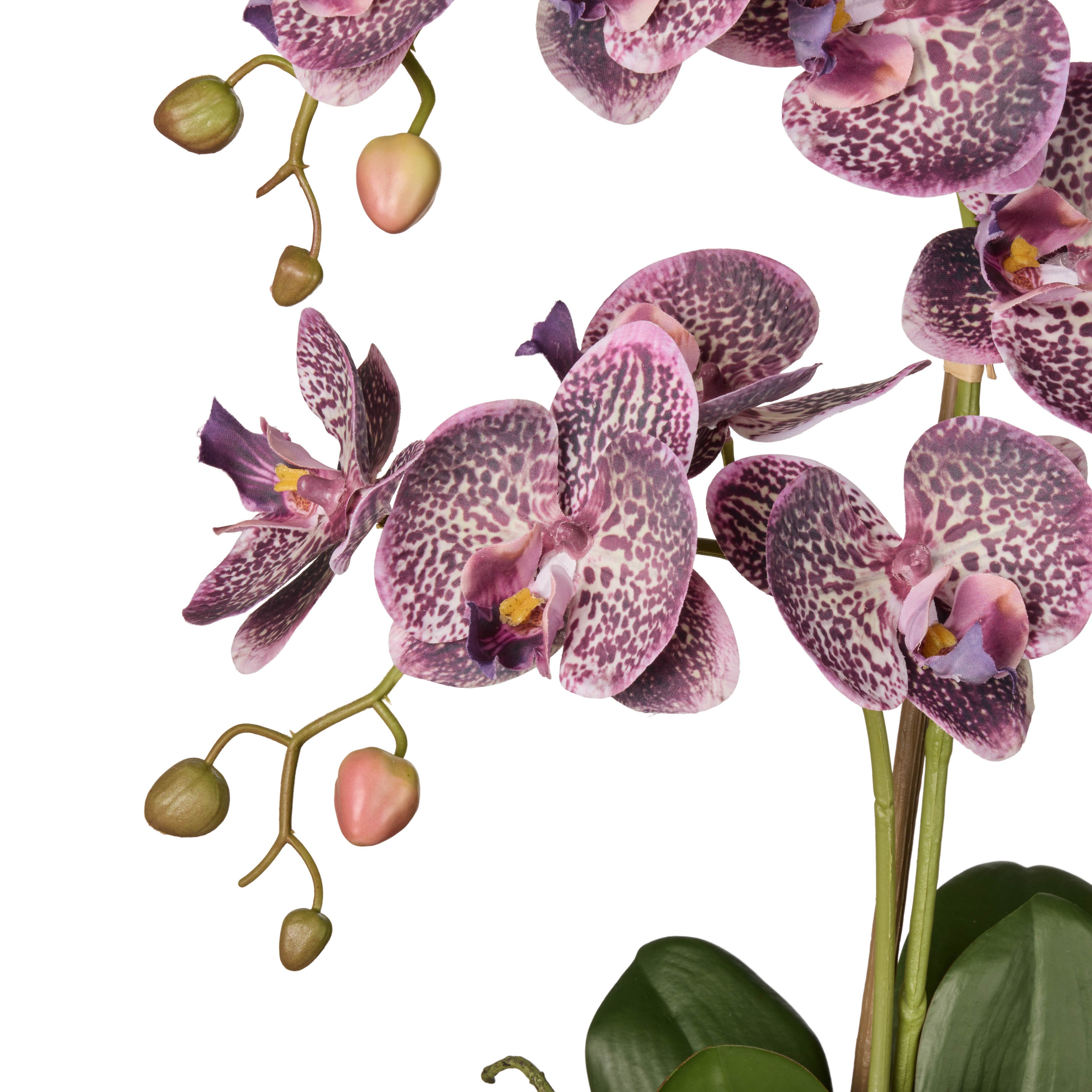 Faux Phalaenopsis Orchid Pot | Purple -  56cm