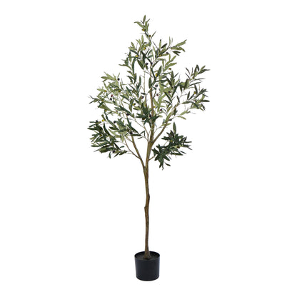Rogue Olive Tree Green