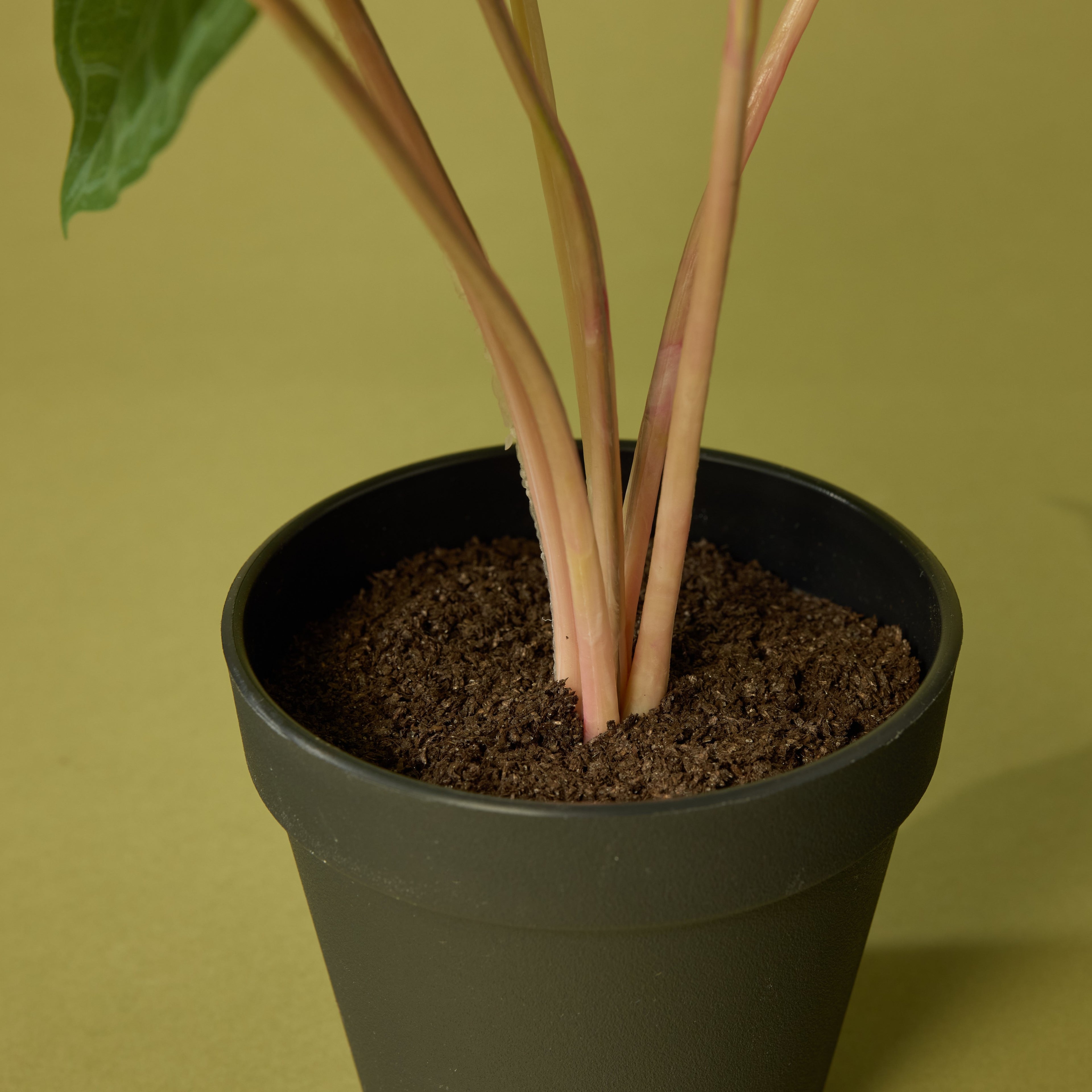 Faux Matuda Anthurium - Garden Pot | 39cm