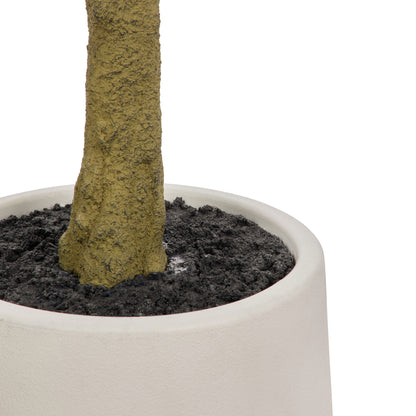 Faux Ficus Tree - White Pot | Green -  180cm
