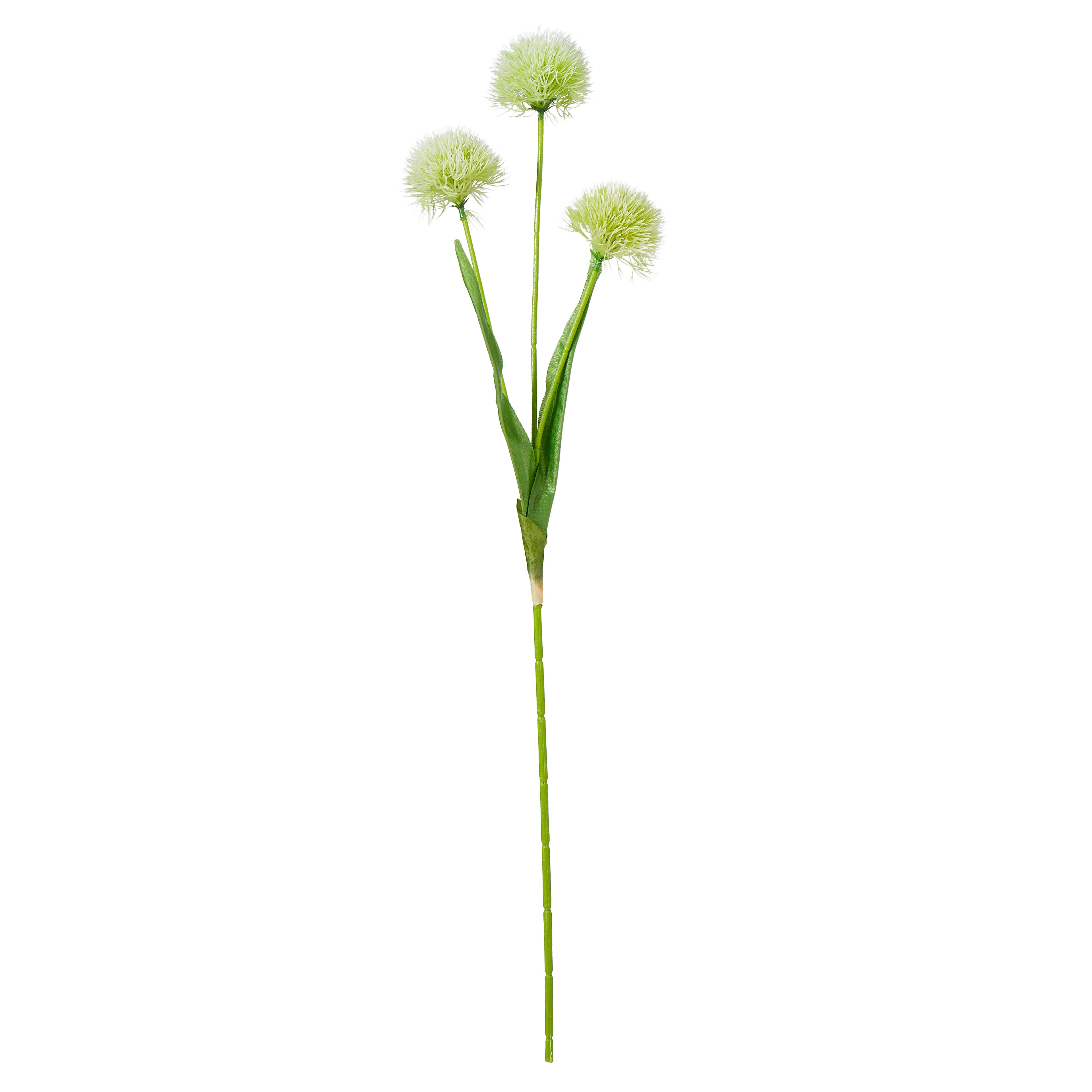 Faux Dandy Spray | Cream - 66cm